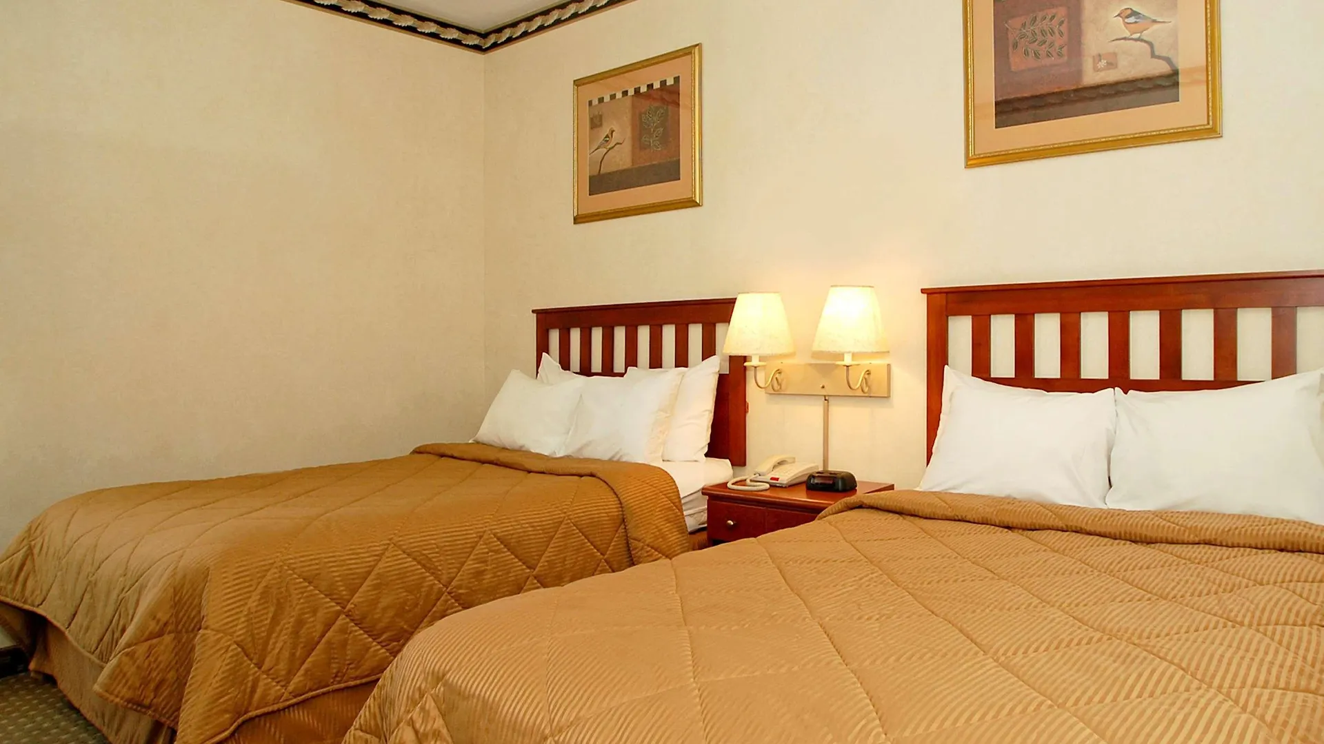 Red Lion Inn & Suites Long Island City New York Hotel