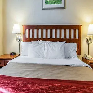 *** Hotel Red Lion Inn & Suites Long Island City New York United States